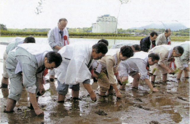 新嘗祭献穀田田植式　南部町三崎