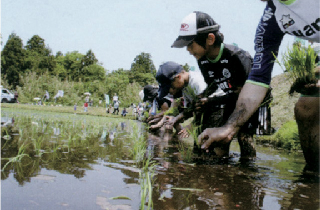 米フェスタ2012こどもあぐりスクール田植体験